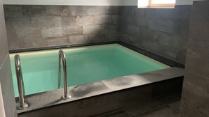 A rectangular pool with a greenish tint, surrounded by dark stone tiles. - House with wellness near ski slopes (Jesenice)