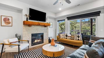 TV, fireplace, video game console