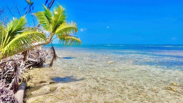 Uma praia com águas cristalinas e rasas, palmeiras e um céu azul e límpido.