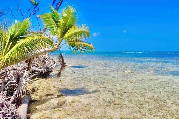 Lettini da mare, teli da spiaggia