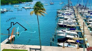 Uma marina com vários barcos atracados, uma palmeira e um céu azul e límpido.