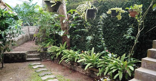 The Nature with nature