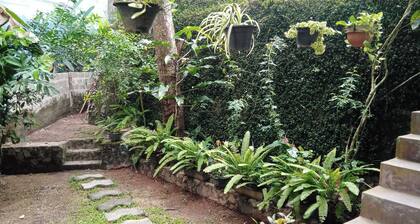 The Nature with nature