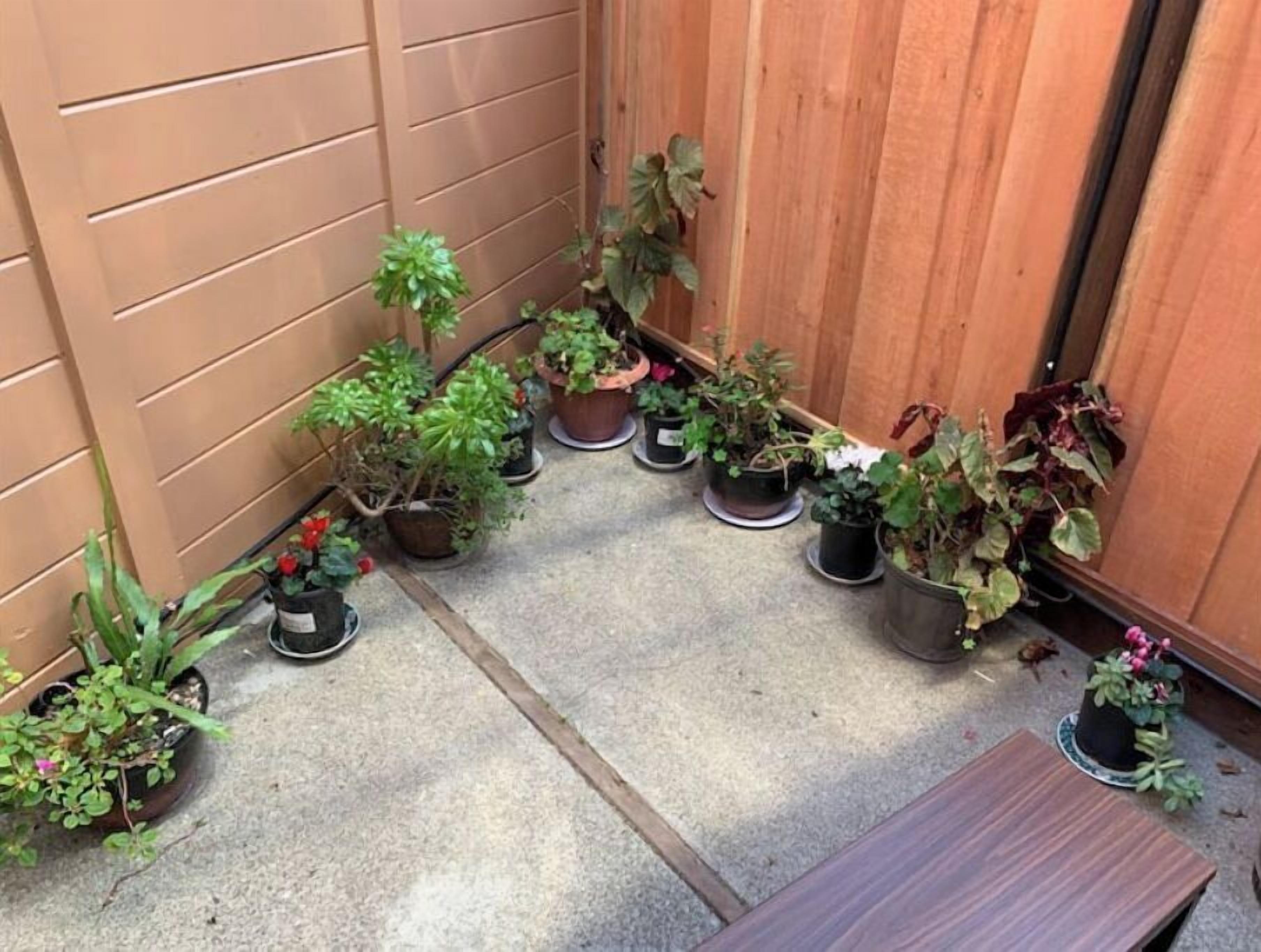 Un petit espace extérieur doté d’un sol en béton et d’une clôture en bois. Plusieurs plantes en pot sont disposées le long de la clôture, et un petit banc en bois se trouve au premier plan.