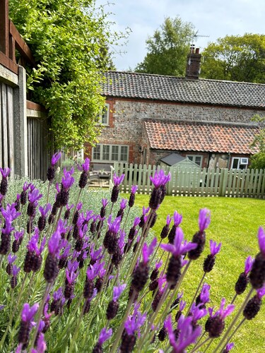 Character Cottage near the coast