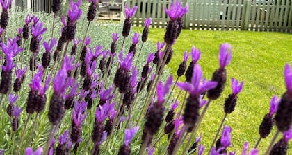 Character Cottage near the coast