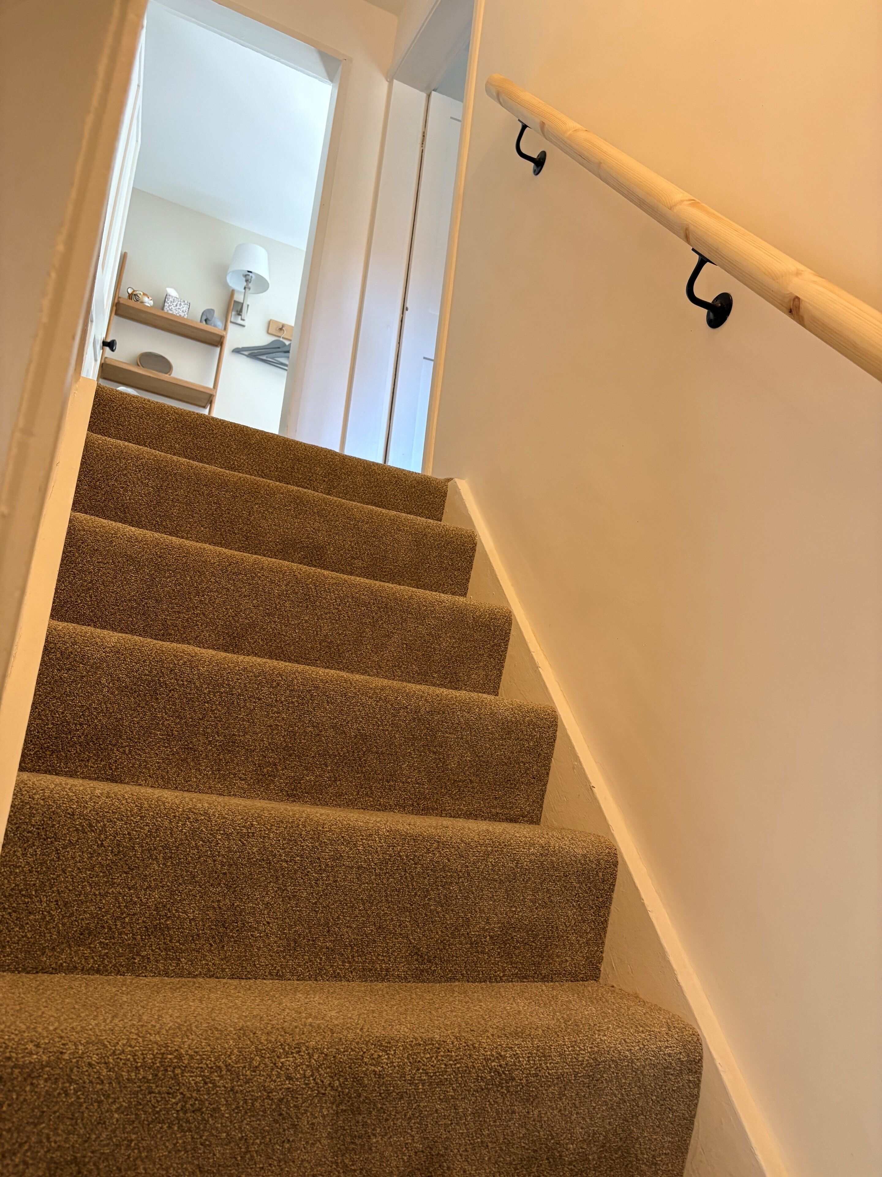 A carpeted staircase with a handrail and wall-mounted hooks.