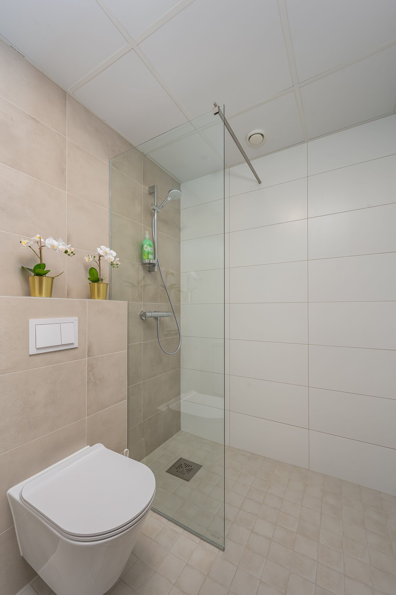 Un baño moderno con cabina de ducha de vidrio, inodoro y dos orquídeas en macetas en la pared.