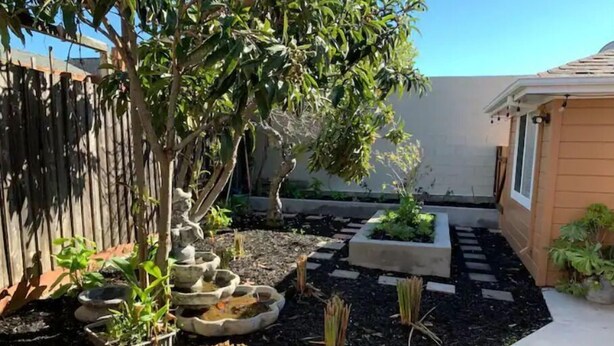A garden with a wooden fence, a tree, and raised garden beds. - Private Studio/Downtown/Free Washer/Dryer/Fast Wi-Fi (Castro Valley)