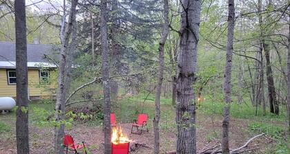 Cabin on 25 Acres of Forest
