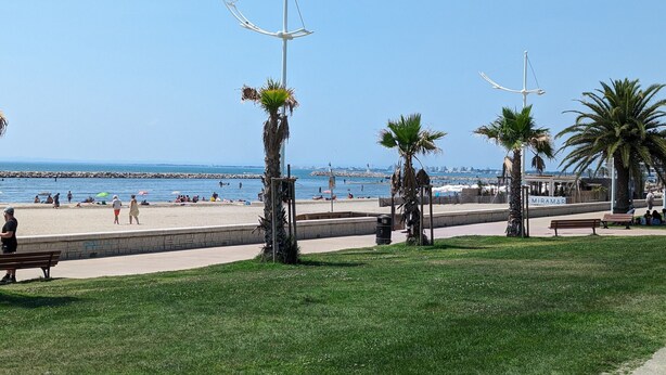 Un parc au bord de la plage, agrémenté de palmiers, de bancs et offrant une vue dégagée sur la mer.