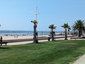 A beachside park with palm trees, benches, and a clear view of the sea.