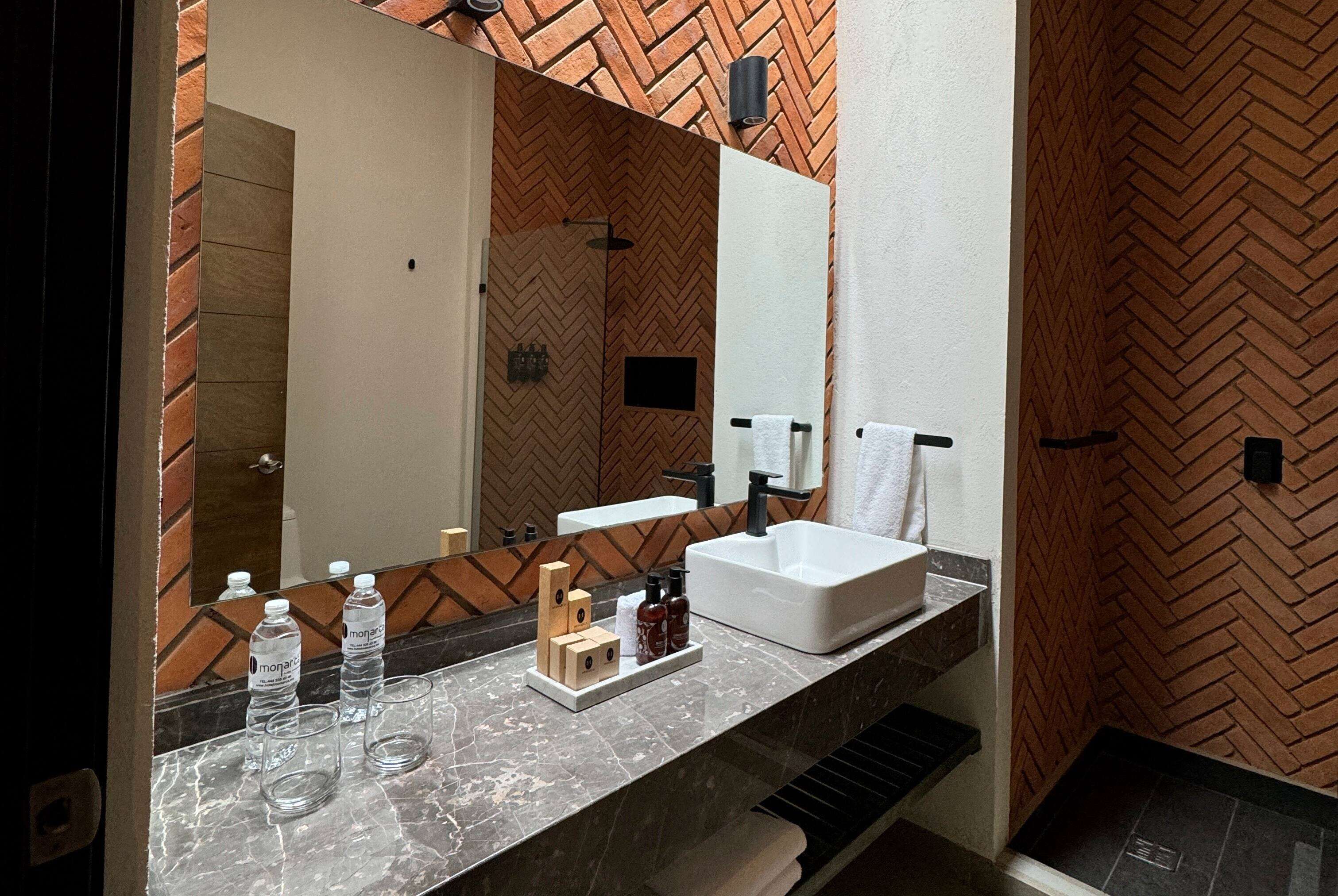 Foto - Esplendor by Wyndham San Luis Potosi