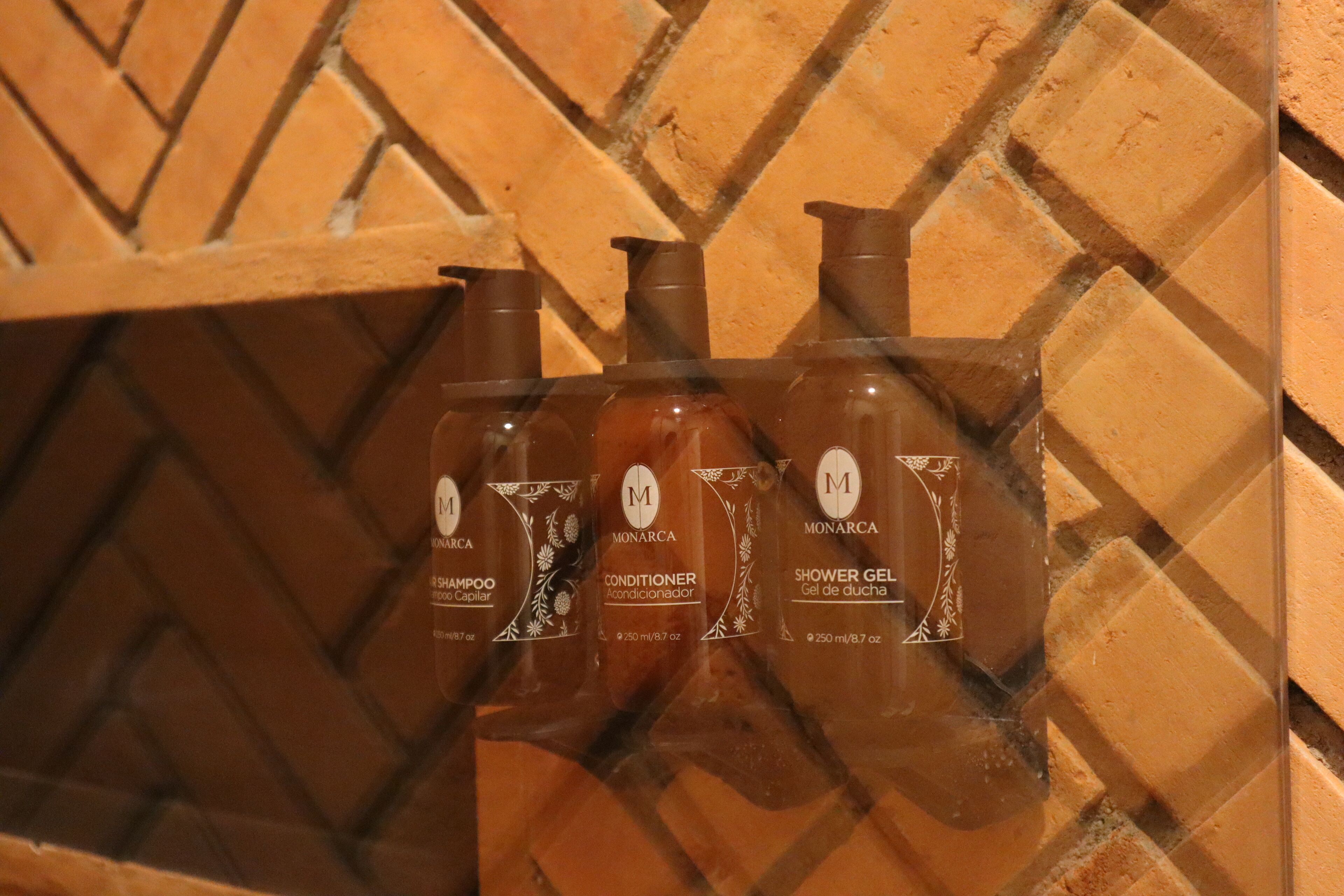 Photo - Esplendor by Wyndham San Luis Potosi