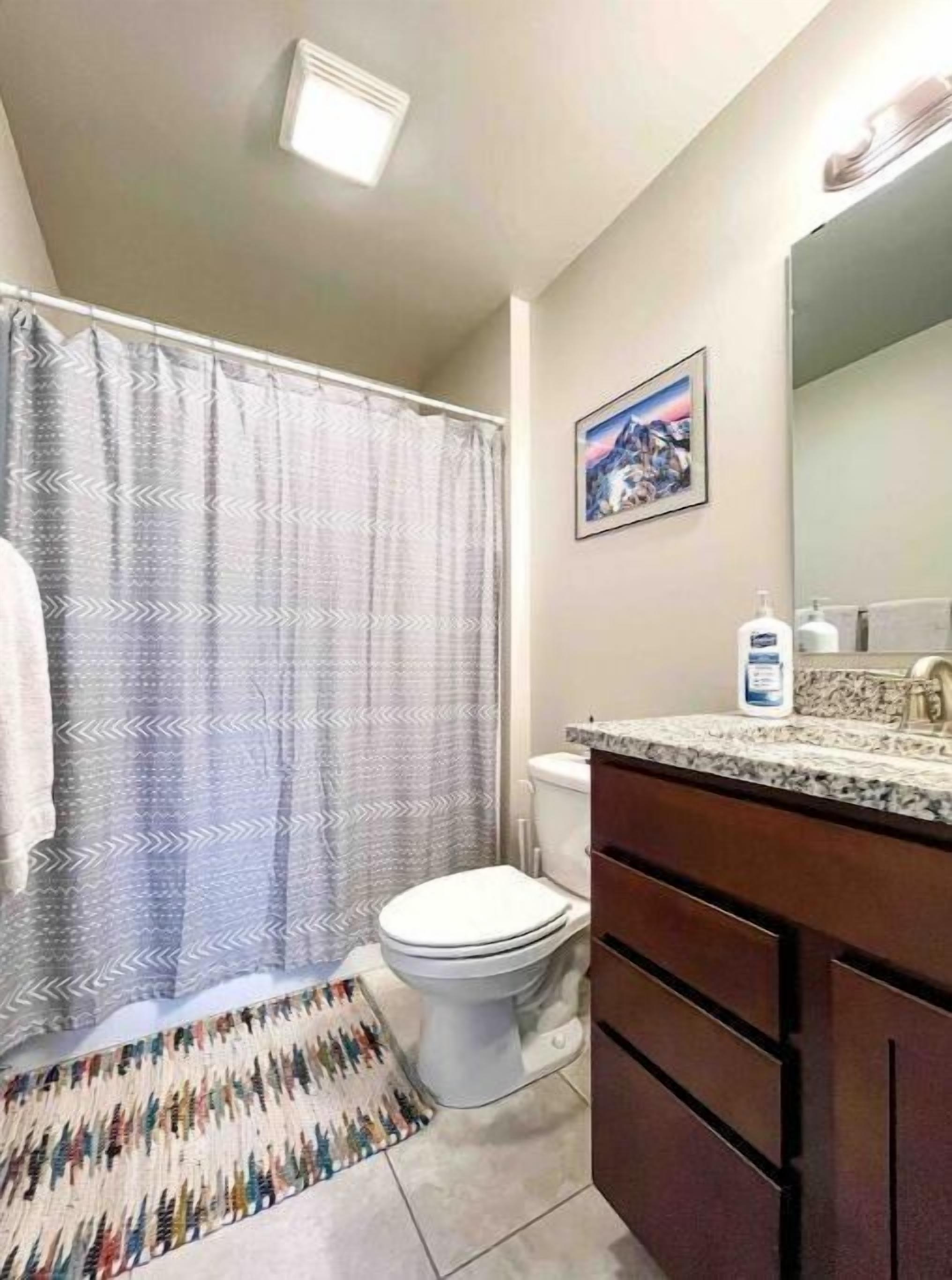 Ein Badezimmer mit Duschvorhang, Toilette, Waschbecken und Spiegel sowie einem Teppich.