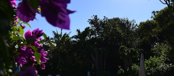 Nobile Hotel Papillon