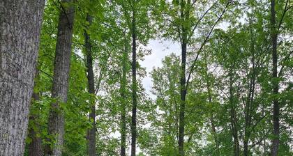 Lake Front Sleeps 4. Close to Waterfalls, Parks, Golf, Fishing & Dog Friendly.