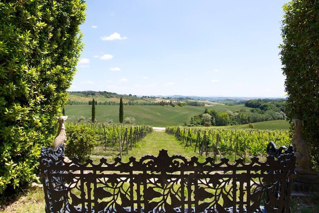 A vineyard with rows of grapevines, a bench, and a stone structure in the foreground.
