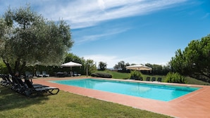 A rectangular swimming pool with a tiled deck, surrounded by grass and trees.