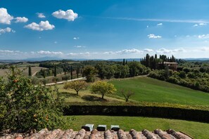 Property grounds - Villa Colombaio, Country-house In Wine Estate 5km from Siena (Siena)