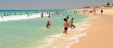 Playa en los alrededores y camastros