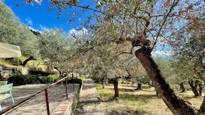 A stone pathway leading through an olive grove with benches and a table on the left. - Agri Resort Masusa (Aquara)