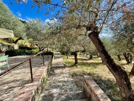 Un sendero de piedra que atraviesa un olivar, con bancos y una mesa a la izquierda.