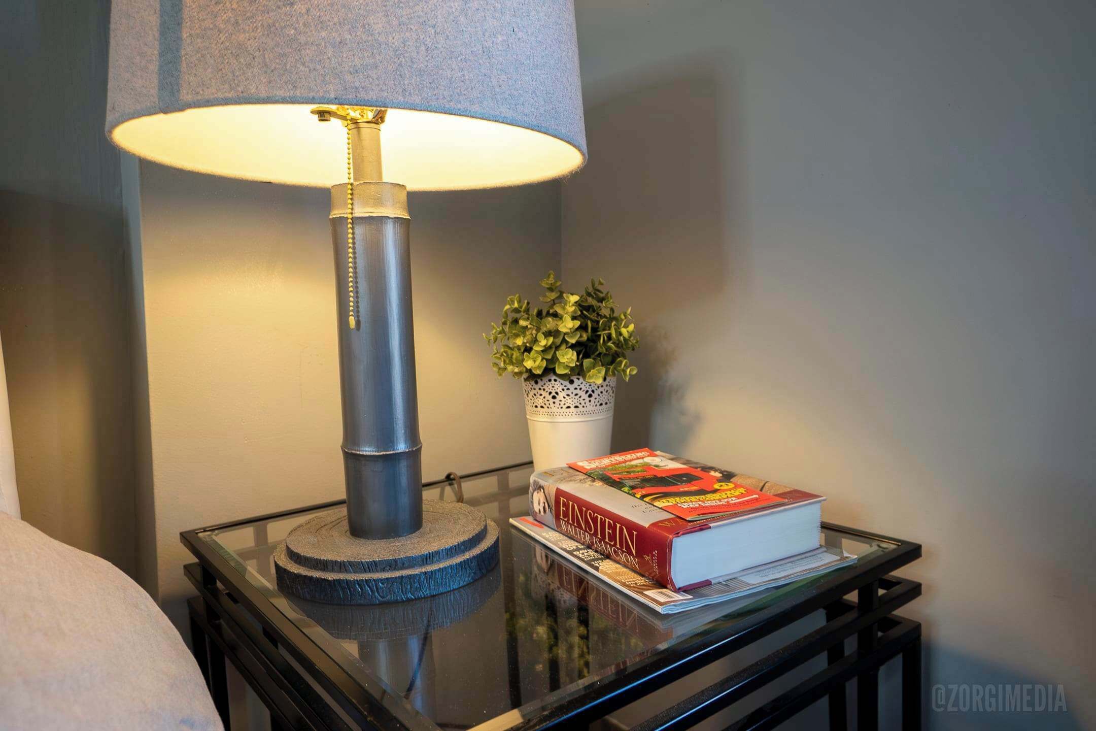 A table with a lamp, a potted plant, and a book titled 'Einstein'.