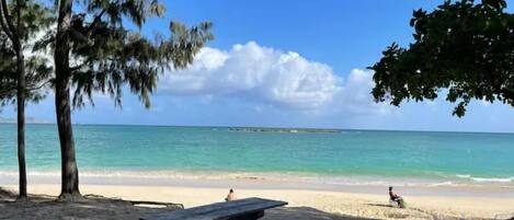 Playa en los alrededores, camastros y toallas de playa