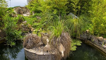 Terrein van de accommodatie