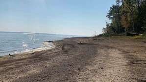 Ranta, jolta kulkee hiekkapolku veteen, ja jonka ympärillä on puita.