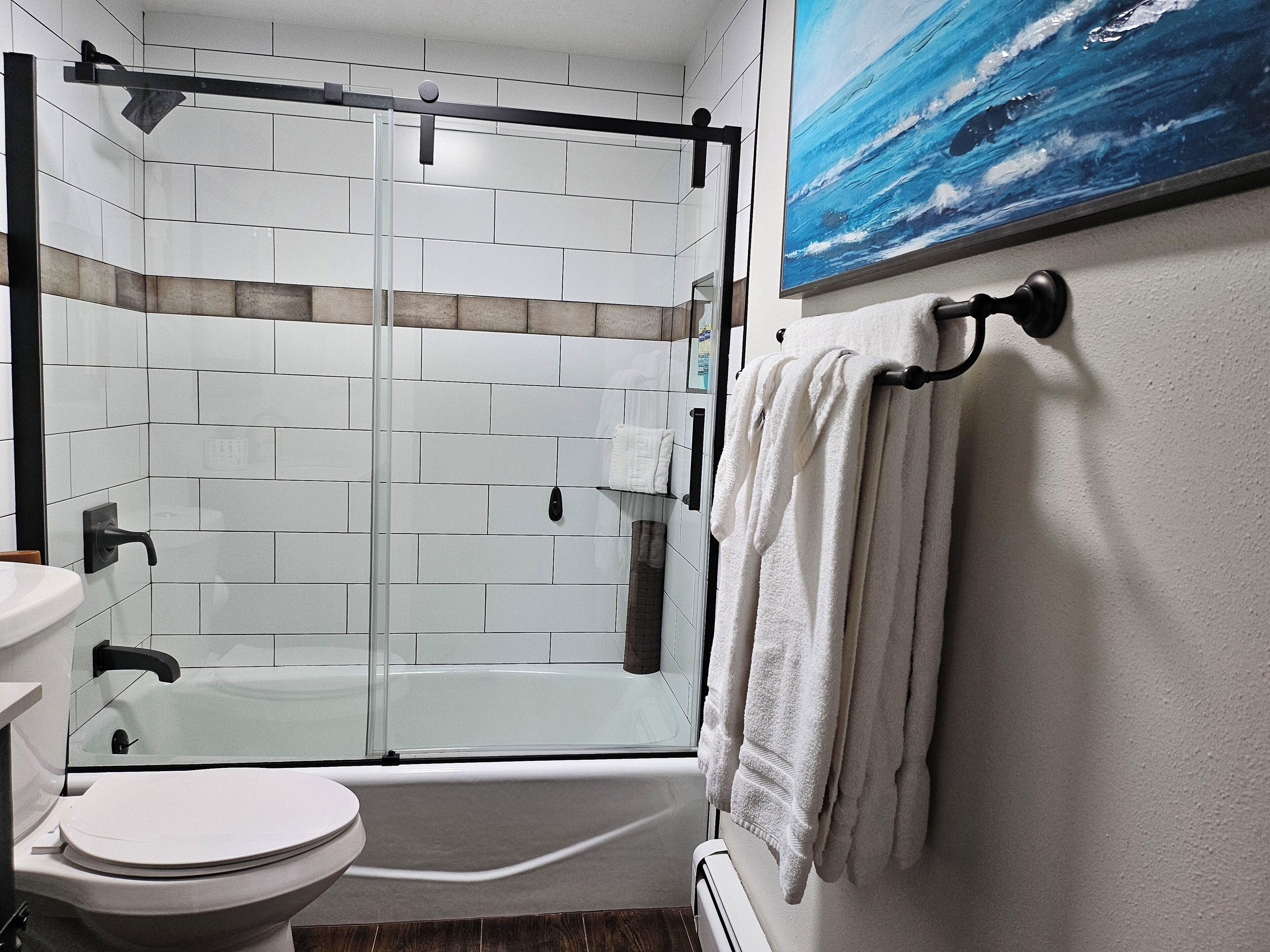 Hair dryer, towels, soap, shampoo