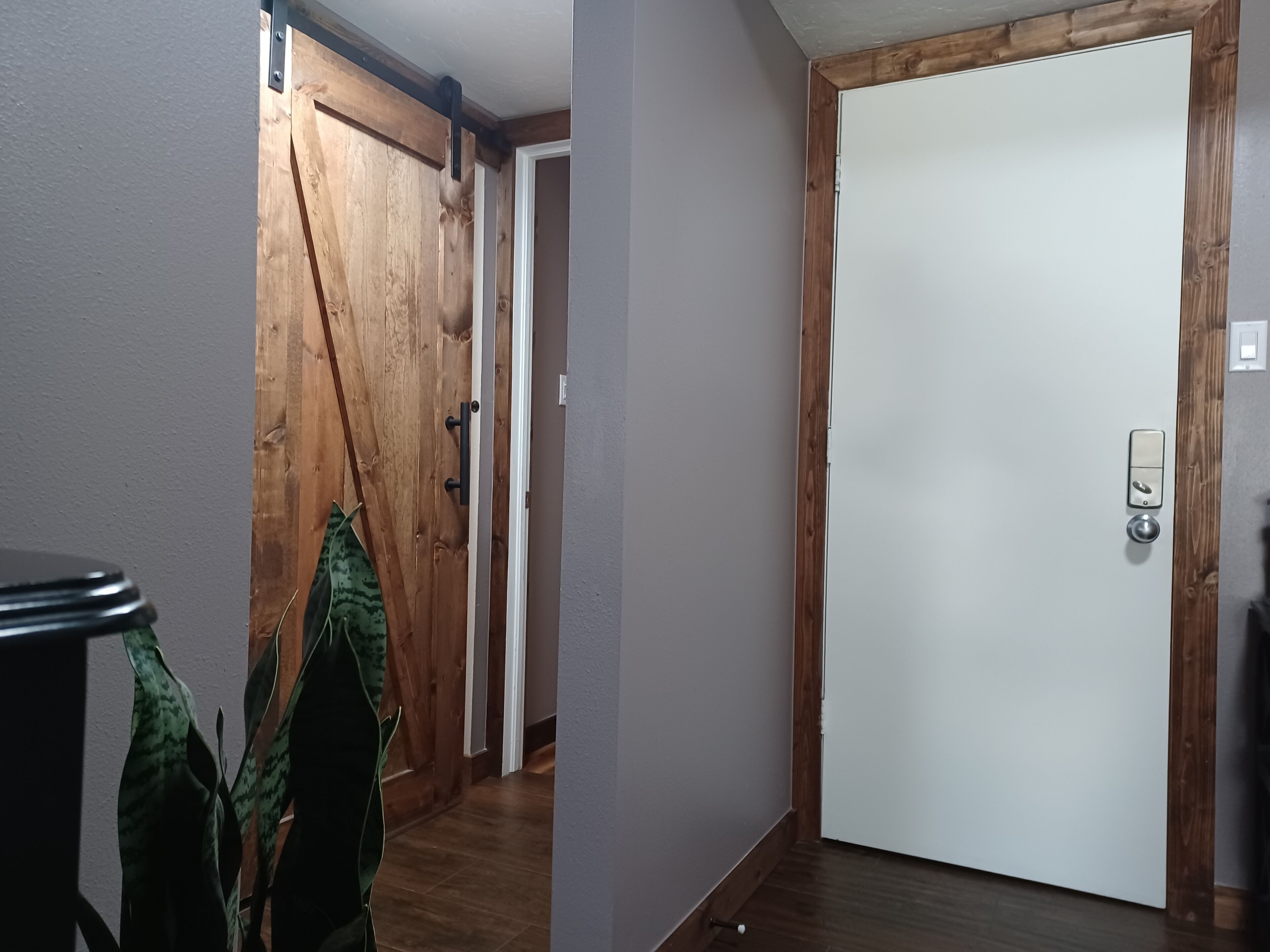 A hallway with a wooden door, a white door, and a plant.