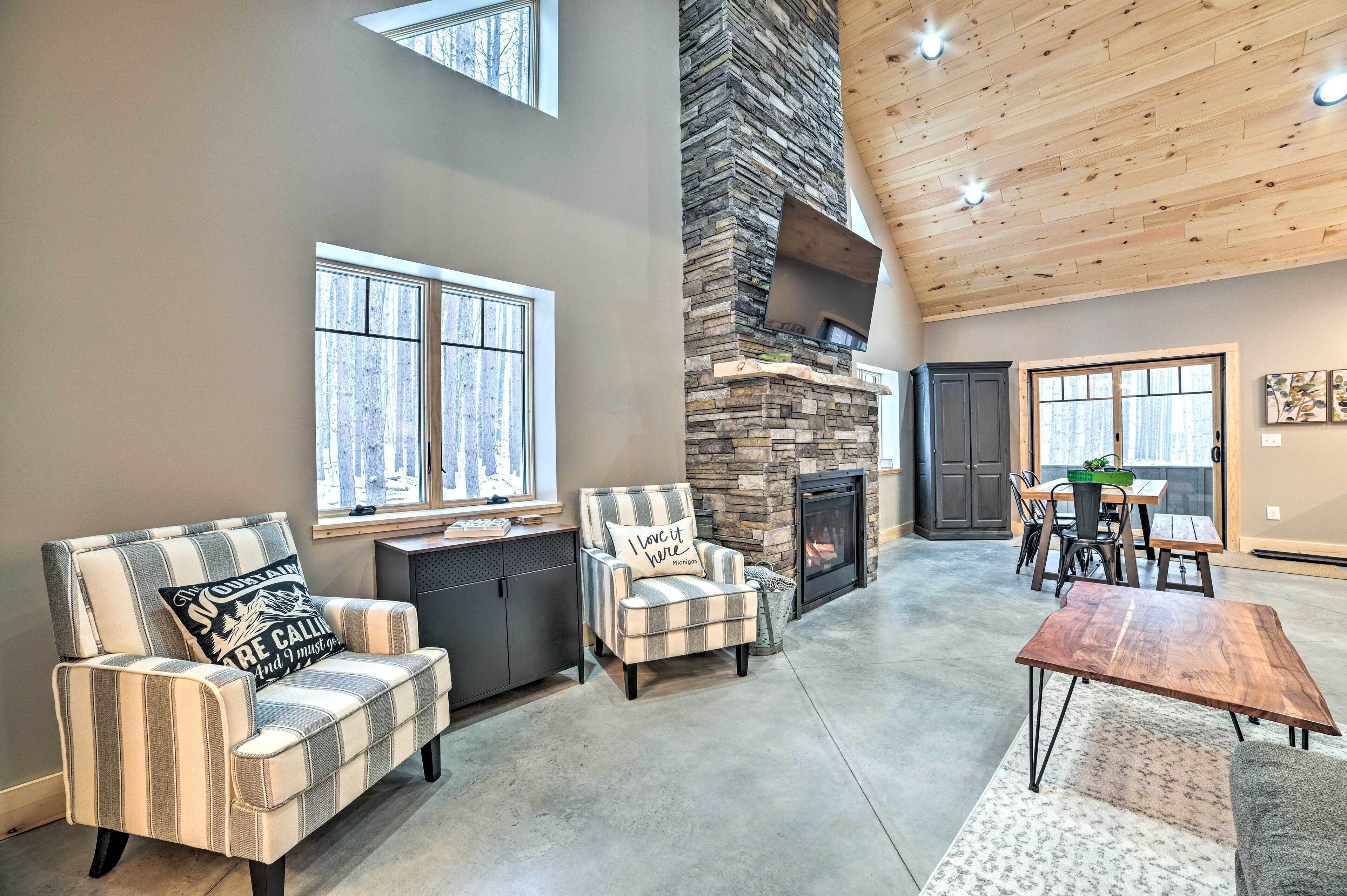 TV, fireplace, books