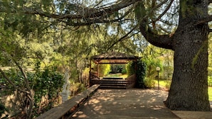 A wooden pathway leading to a gazebo in a wooded area.
