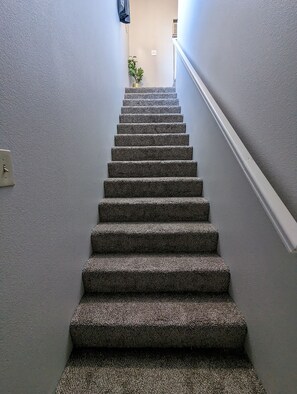 Interior - Private Suite (Reno)