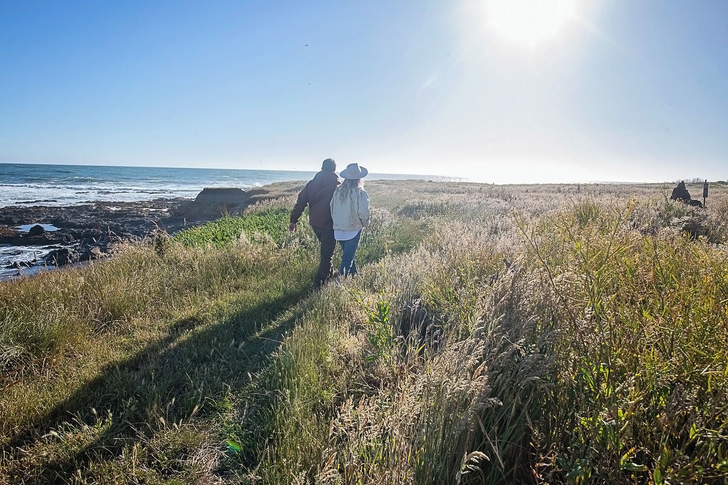 A coastal path with grass and rocks, leading to the sea.