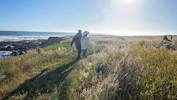 A coastal path with grass and rocks, leading to the sea.