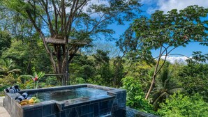 A hot tub surrounded by lush greenery and a clear blue sky. - BEAUTY OF COSTA RICA STUNNING VIEW (Uvita)