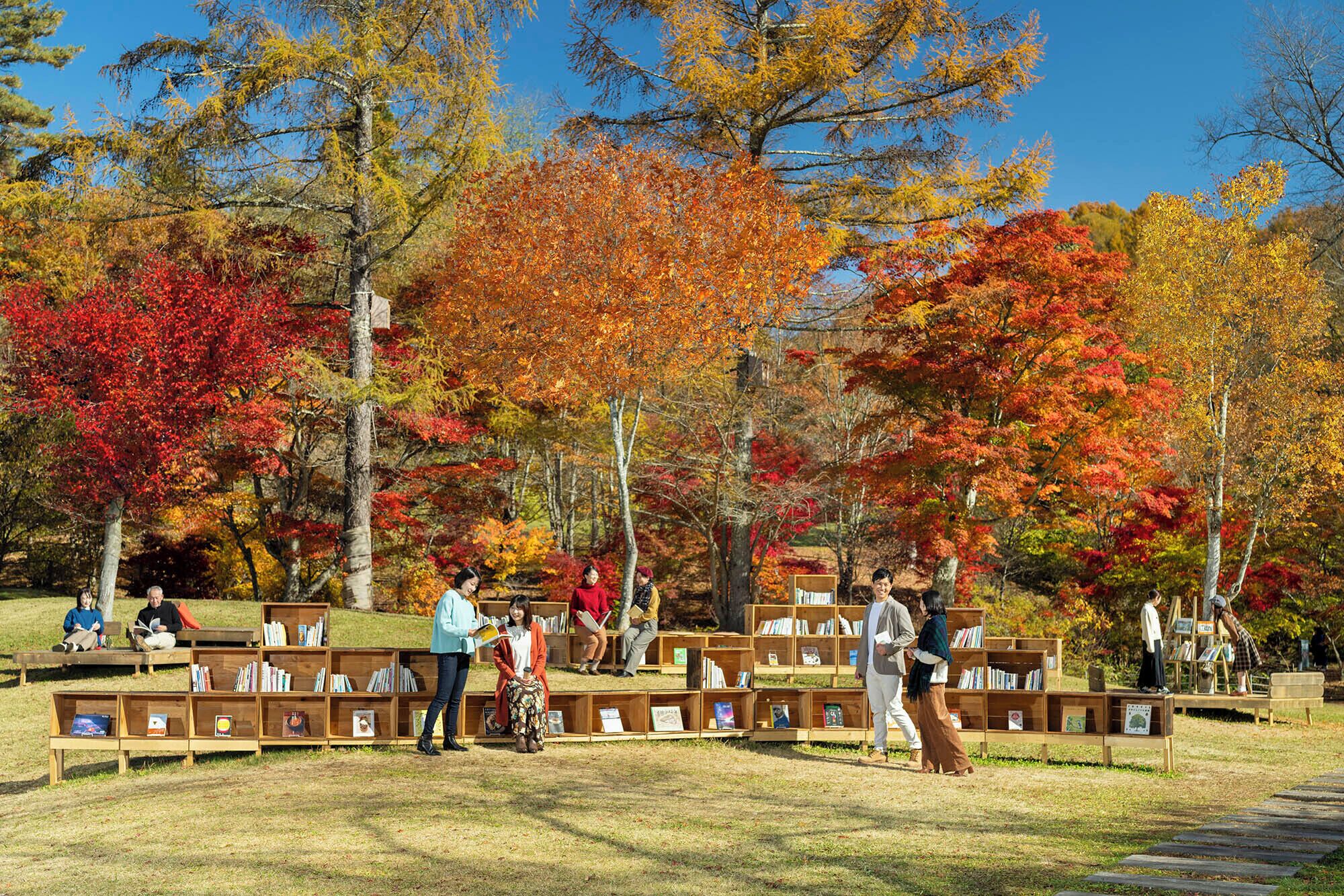 A park with wooden bookshelves and people reading.