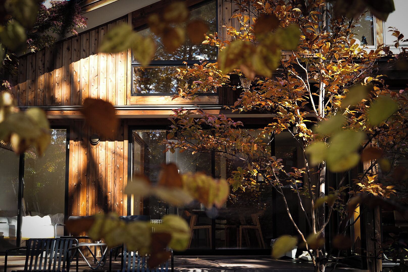 A modern building with large windows and a wooden exterior.