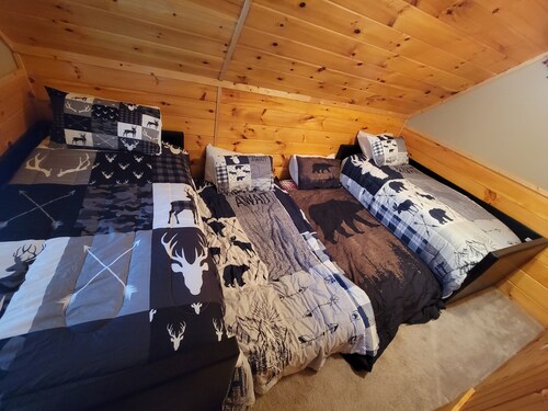 Cabin NY Snowmobile Trails