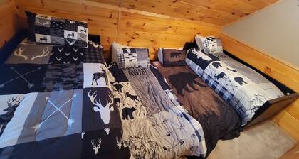 Cabin NY Snowmobile Trails