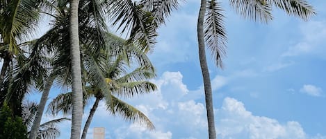 Beach towels