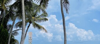 Best location in downtown Islamorada. 2 Houses with Beach access!