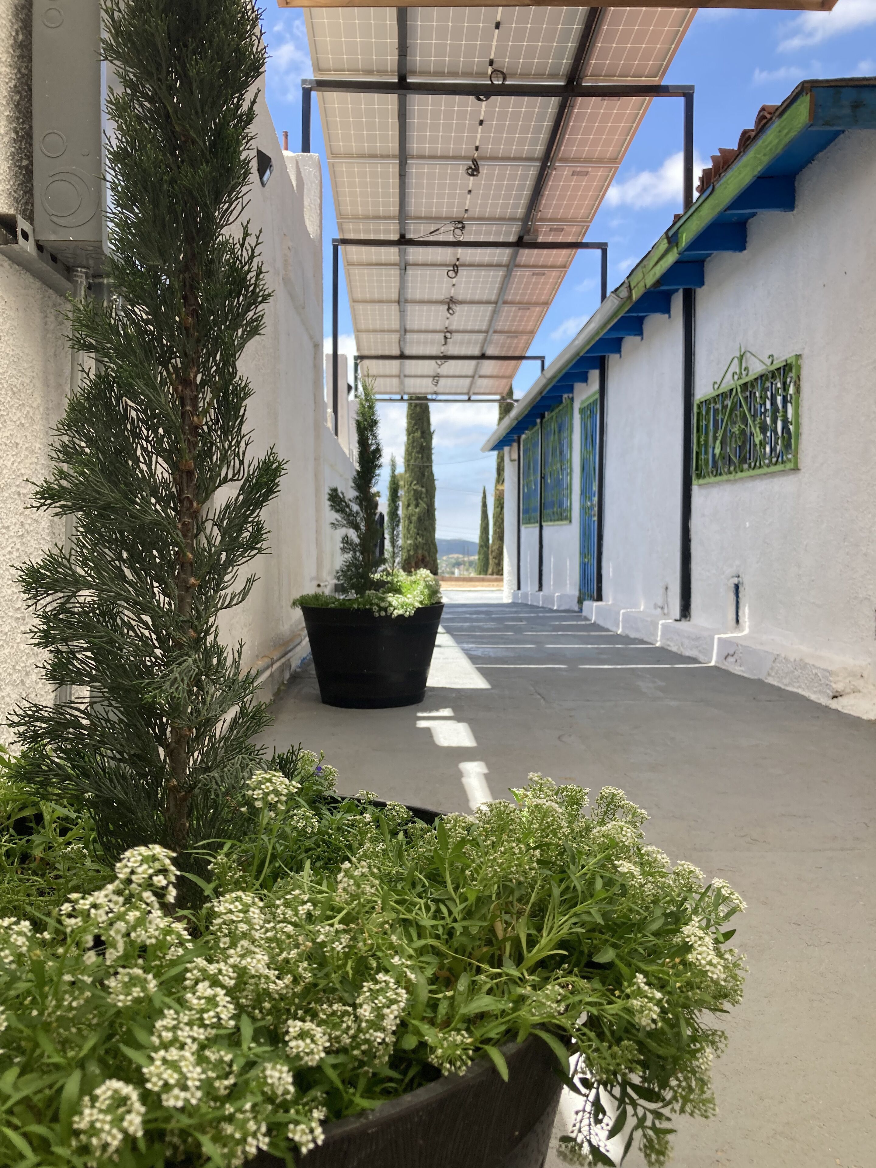 A narrow outdoor corridor with potted plants, a metal roof structure, and a view of a distant landscape.
