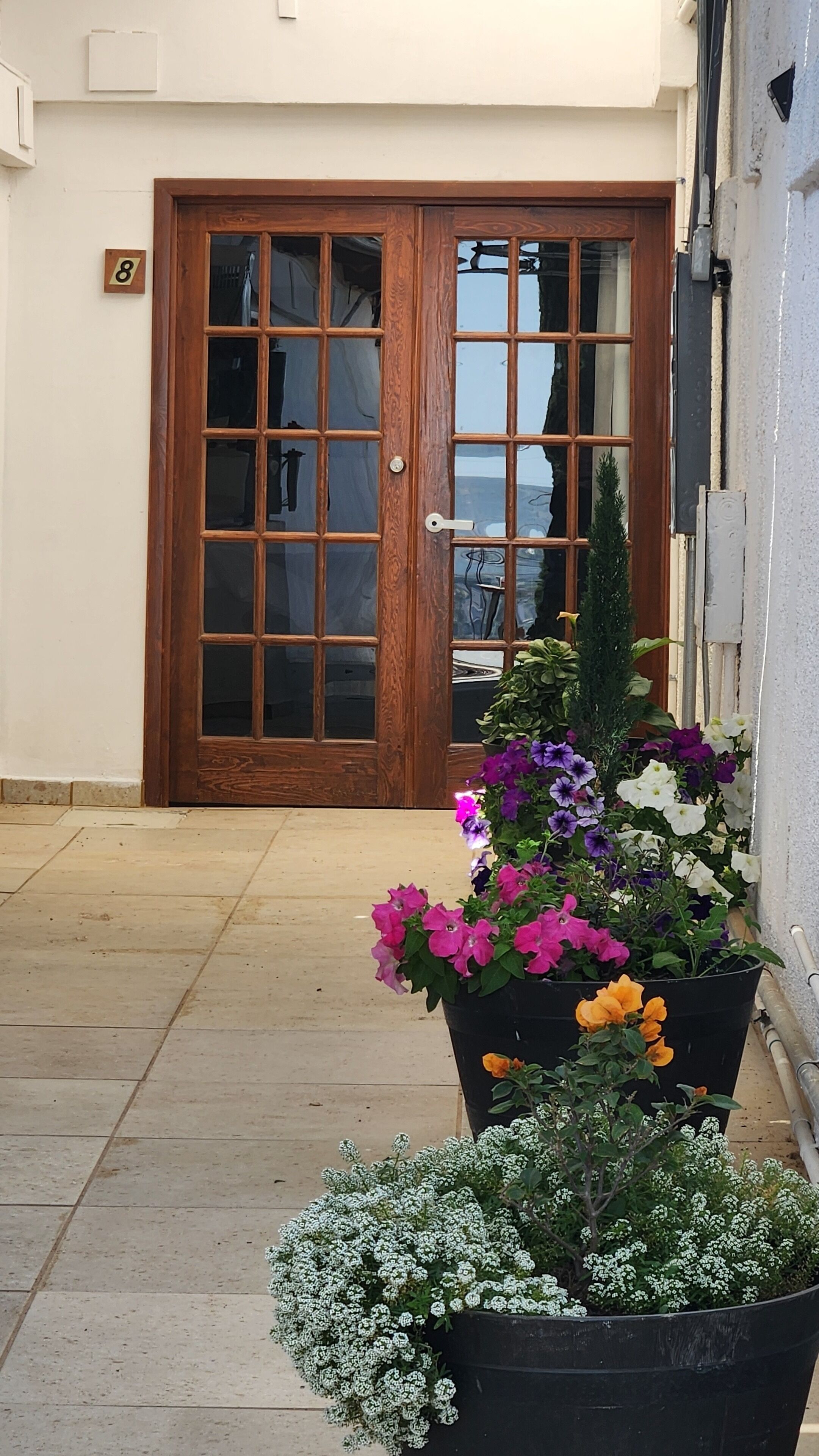 A wooden door with a glass panel, a potted plant with various flowers, and a tiled floor.