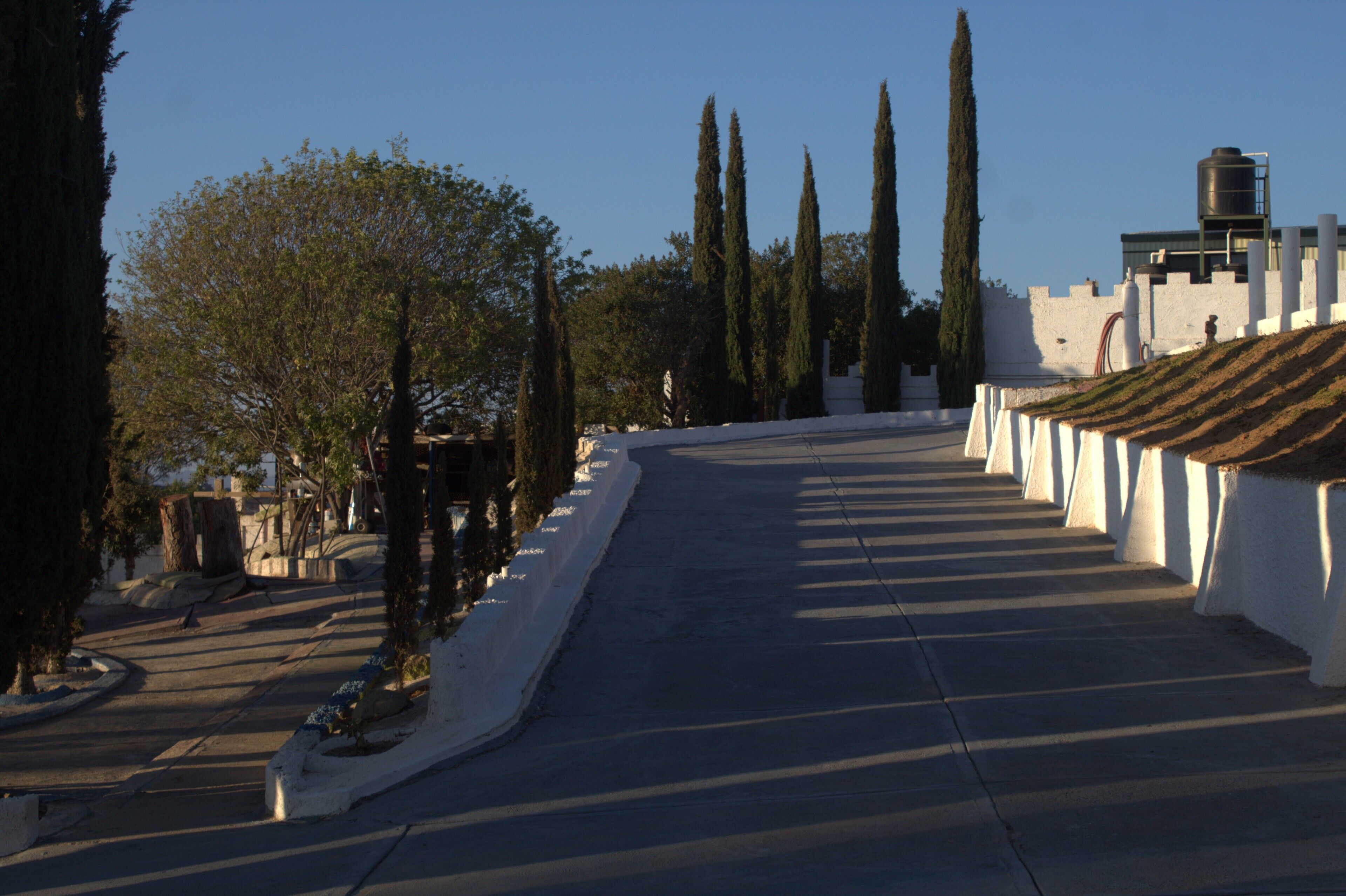 A paved pathway flanked by white walls and tall cypress trees, leading towards a building with a water tank on top.