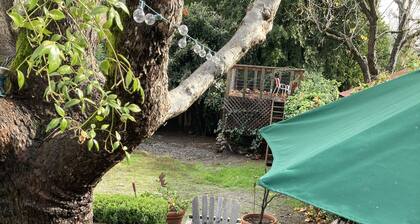 Charming 1920's cottage in St. Helena - walk to town