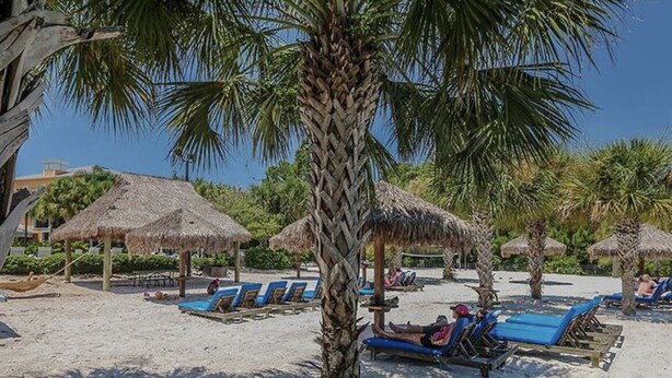 Una playa con sombrillas de paja, palmeras y tumbonas.